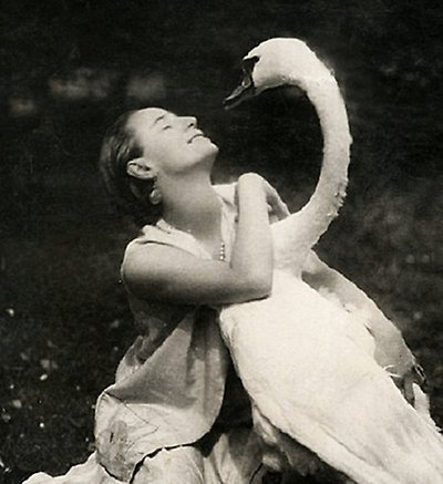 Pavlova had swans in her own garden
